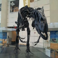 รูปภาพถ่ายที่ Virginia Museum of Natural History โดย Bryan K. เมื่อ 5/1/2012