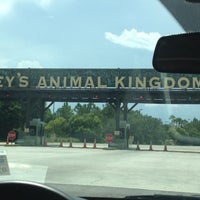 Animal Kingdom Parking Lot - Walt Disney World