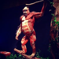 Photo taken at Animal Inside Out Exhibit by Hamid S. on 7/2/2012
