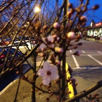 3/15/2012 tarihinde 🎶Janine 🎶 G.ziyaretçi tarafından ShopRite of Mt. Laurel'de çekilen fotoğraf