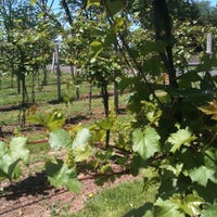 Photo taken at Buckingham Valley Vineyard &amp;amp; Winery by Sue R. on 5/19/2012