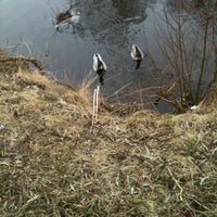 Photo taken at Dammen Folkets Park, Perstorp by Mira S. on 3/24/2012
