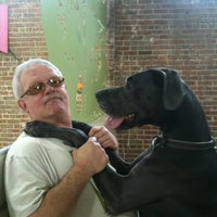 Photo taken at Dog Days of Birmingham by Lynn S. on 7/22/2012