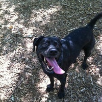 Photo taken at Frenchtown Dog Park by Jackie P. on 7/10/2012