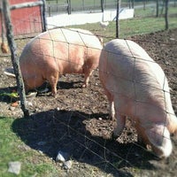รูปภาพถ่ายที่ Woodstock Farm Animal Sanctuary โดย Shawnie เมื่อ 4/3/2012