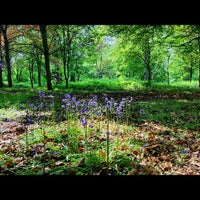 Photo taken at Eastham Woods by Dave F. on 5/24/2012
