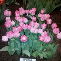 Photo taken at Chicago Flower And Garden Show by Maritza L. on 3/10/2012