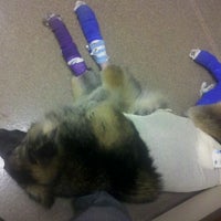 Photo taken at Circle City Veterinary Emerg &amp;amp; Specialty Hospital by Ron R. on 5/25/2012