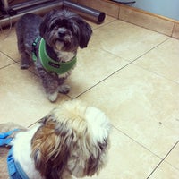 Photo taken at Riverside Veterinary Group by Nathaniel owner of Fitness Runs on 8/13/2012