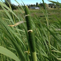 Photo taken at Panama Hill Park by SOSAUT on 6/17/2012