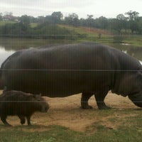 รูปภาพถ่ายที่ Pampas Safari โดย Sandra B. เมื่อ 6/2/2012