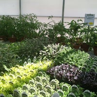 Farmer John's Greenhouse - Farmington - 2 tips