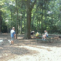 sweat mountain dog park