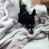 7/18/2012 tarihinde Megan P.ziyaretçi tarafından Animal Hospital of Howard'de çekilen fotoğraf