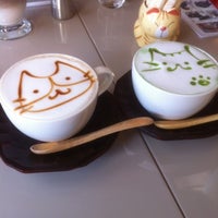 猫カフェなーごなーご Cafe En 名古屋市昭和区 猫カフェなーごなーご Cafe En 名古屋市昭和区