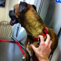 Photo taken at The Village Vet by JP W. on 7/21/2012