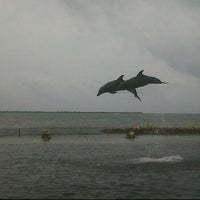 Photo taken at Dolphin Cove by Jermaine H. on 5/27/2012