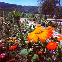 Photo taken at Family Wineries Dry Creek Tasting Room by Shana R. on 8/2/2012