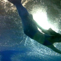 Photo taken at underwater wold by wimolsiri n. on 8/13/2012