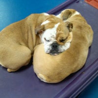 Photo taken at Urban Pooch Canine Life Center by Ryan B. on 4/1/2012