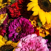 Appleton Farmer's Market - Farmers Market in Appleton