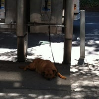 Photo taken at Duane Reade by Leigh S. on 8/13/2012