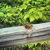 Photo taken at Fontenelle Forest Nature Center by Daniel D. on 5/2/2012
