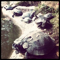 Alice Keck Park Memorial Gardens Downtown Santa Barbara 9 Tips