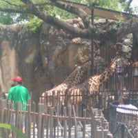 Photo taken at Giraffe African Exhibit by D R. on 7/21/2012