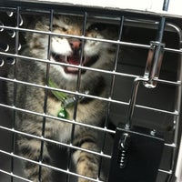 Photo taken at South Boston Animal Hospital by Chrissy A. on 5/30/2012