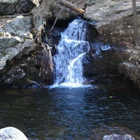 blackrock forest blackrock forest