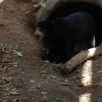 Photo taken at Sun Bear Exhibit by Scary S. on 9/9/2012