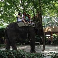 Photo taken at Elephant Ride @ S&amp;#39;pore Zoo by David A. on 7/26/2012