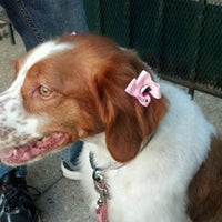 Photo taken at Grooming By Galdy by Jack M on 3/15/2012