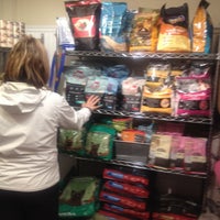 gussied up dog boutique