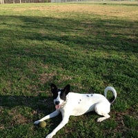 Photo taken at Grant Park Dog Field by Heidi on 3/4/2012