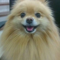 Photo taken at :Zantacuz Pomeranian by POTTAMAN ® on 5/15/2012