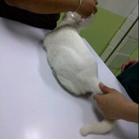 Photo taken at โรงพยาบาลสัตว์อิมเมจ by Osara O. on 6/28/2012