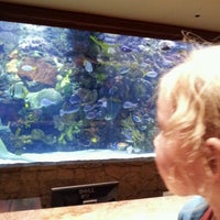 Foto tirada no(a) The Mirage Aquarium por Timothy T. em 7/21/2012