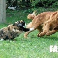 superior car wash tomball