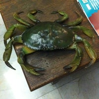 Photo taken at Crab Hostel by Alan L. on 2/23/2012