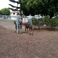 Photo taken at Westminster Dog Park by Lisa M. on 6/9/2012