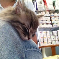 oasis animal hospital naples fl