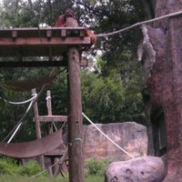 Photo taken at Orangutan Exhibit by Andrea B. on 8/4/2012