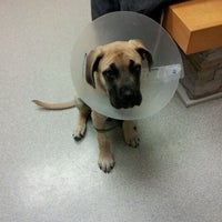 Photo taken at Long Island Veterinary Specialists by Andrew R. on 4/25/2012