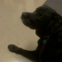 Photo taken at Circle City Veterinary Emerg &amp;amp; Specialty Hospital by Nancy M. on 8/31/2012