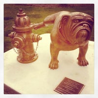 Ruth Helen Wolf Animal Clinic & Hospital - Veterinarian in Libertyville