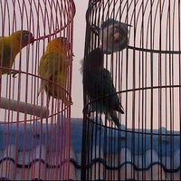 Photo taken at Red Castle (Zacky&amp;#39;s Love bird) 1st floor by Fauzie O. on 7/6/2012