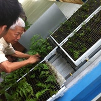 Photo taken at Mao Sheng Farm by Mich H. on 5/15/2012