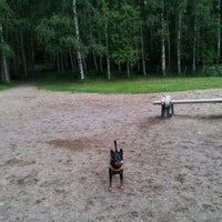 Photo taken at Puotilan kartanon puiston koirapuisto by Jaana J. on 7/18/2012